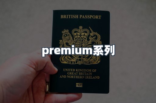 premium系列