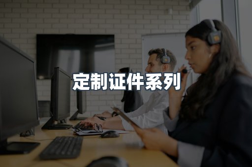 定制证件系列